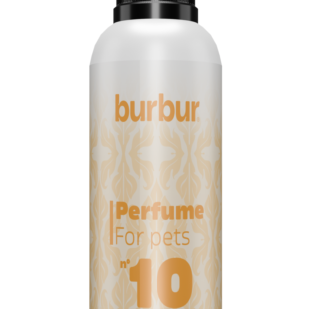 BURBUR PERFUME TEN 100ML